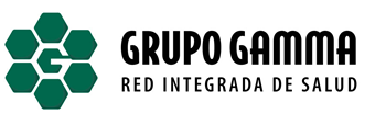 Capacitación Grupo Gamma